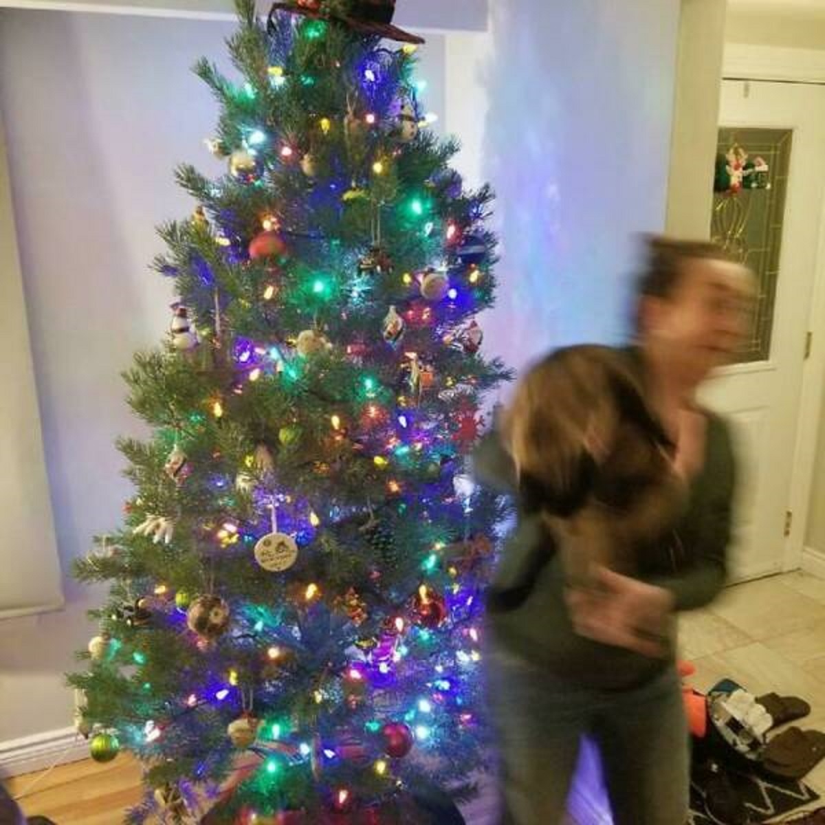 "To Take A Nice Christmas Picture With My Cat"