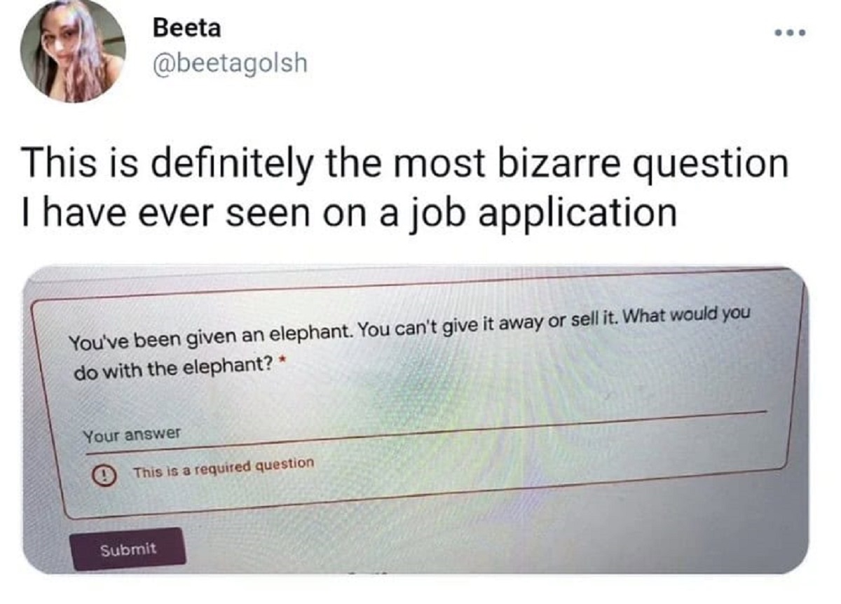 job application form meme - Beeta This is definitely the most bizarre question I have ever seen on a job application You've been given an elephant. You can't give it away or sell it. What would you do with the elephant? Your answer This is a required ques