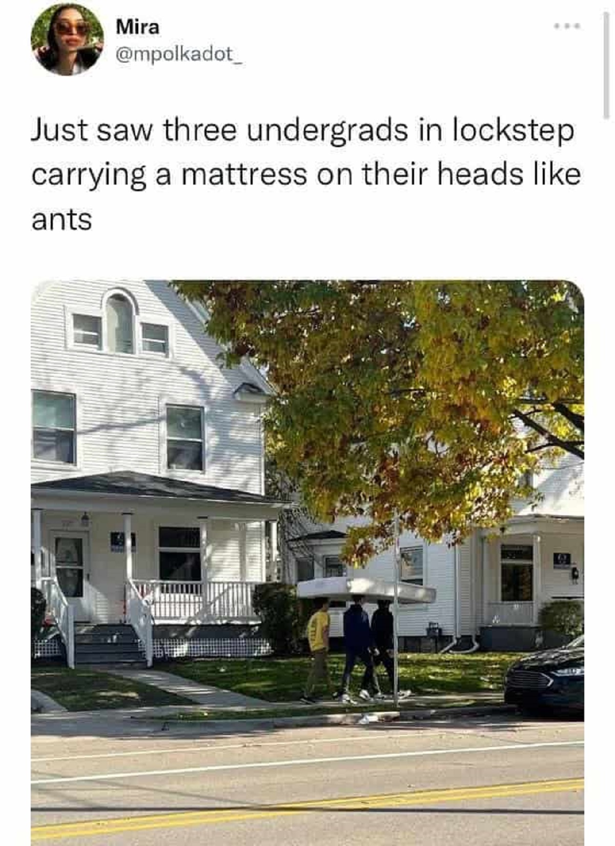 Internet meme - Mira www Just saw three undergrads in lockstep carrying a mattress on their heads ants