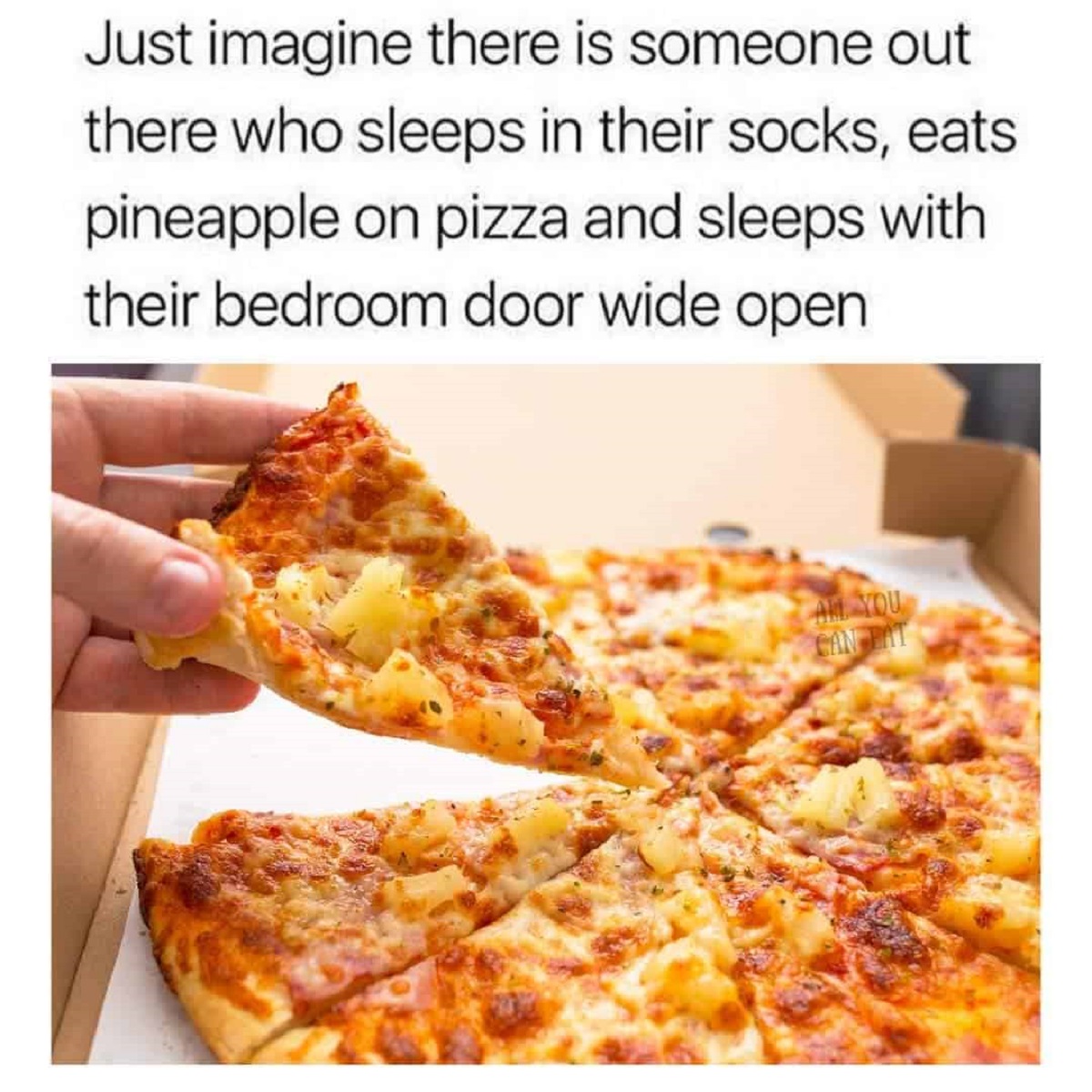 pizza hawaii - Just imagine there is someone out there who sleeps in their socks, eats pineapple on pizza and sleeps with their bedroom door wide open All You Can Pat