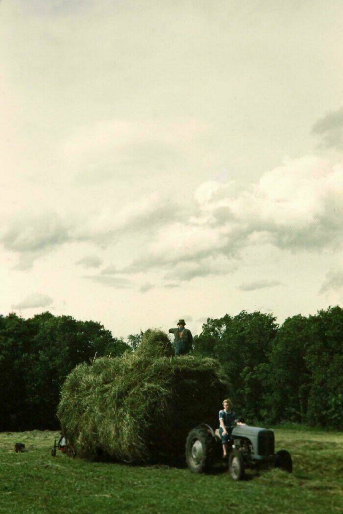 "My Grandma (Still Alive At 96) And Her Dad Baling Hay On The Family Farm In Clintonville, Wi. 1940s"