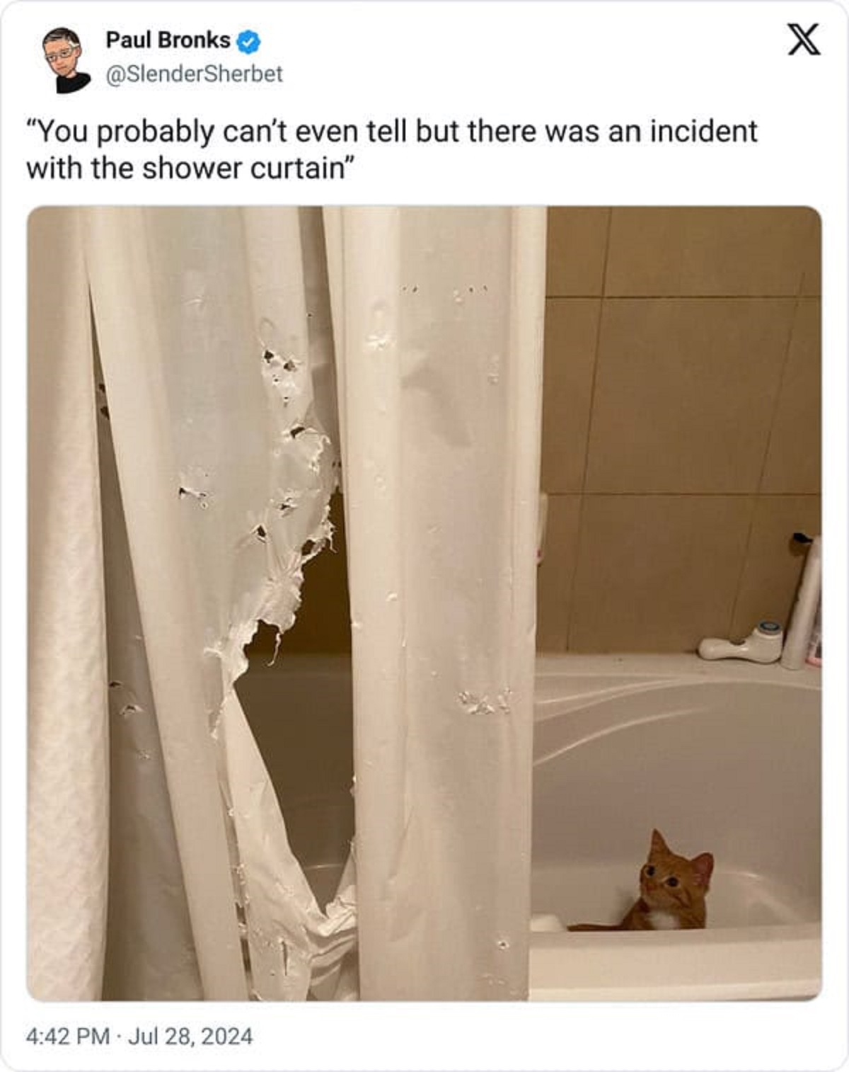 abyssinian - Paul Bronks "You probably can't even tell but there was an incident with the shower curtain" X