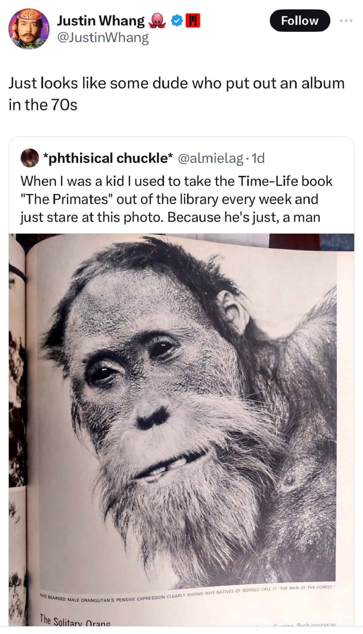 macaque - Justin Whang Just looks some dude who put out an album in the 70s phthisical chuckle . 1d When I was a kid I used to take the TimeLife book "The Primates" out of the library every week and just stare at this photo. Because he's just, a man The S