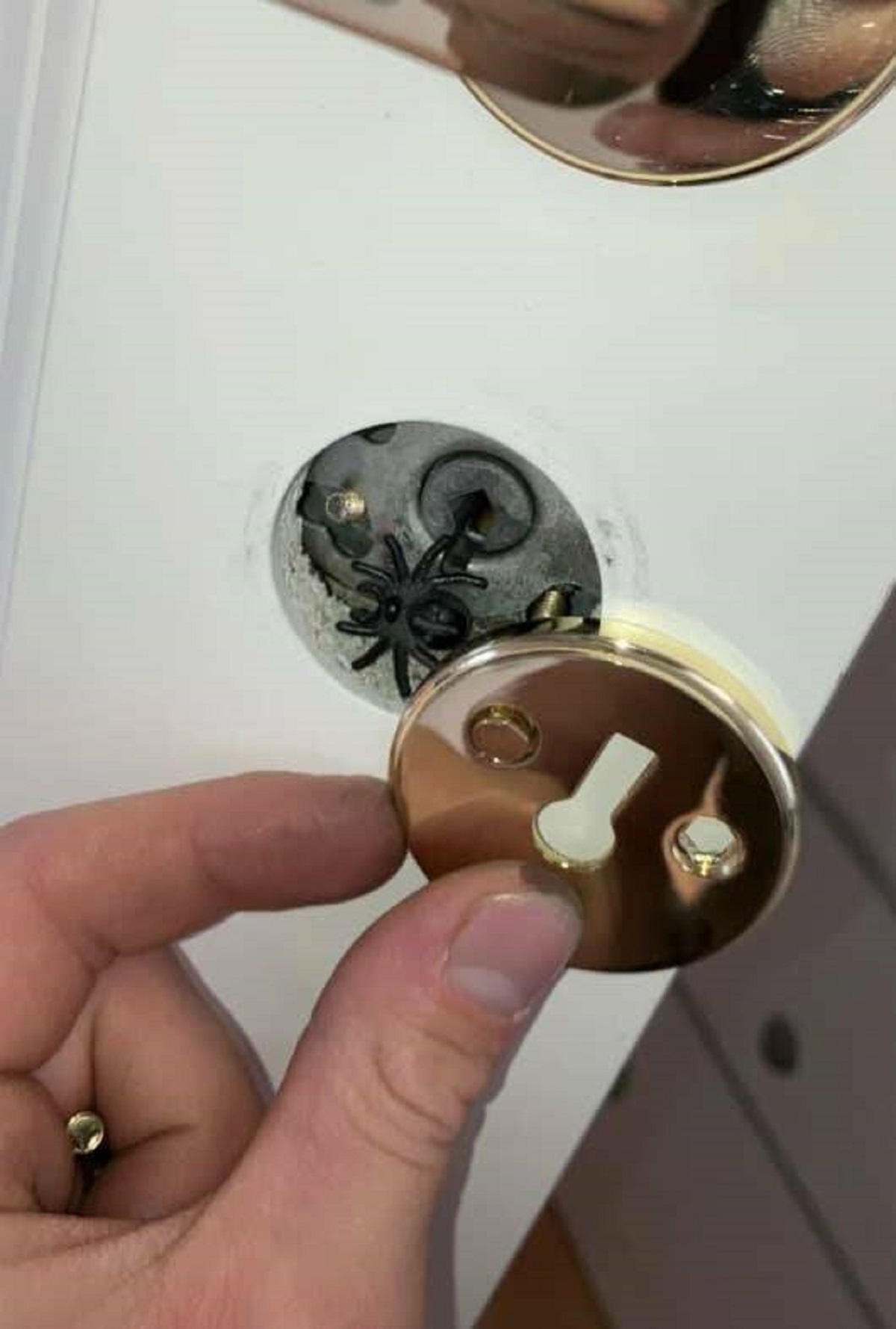 "I'm changing the door knobs. The previous owner put a fake spider inside the keyhole. Nearly gave me a heart attack":