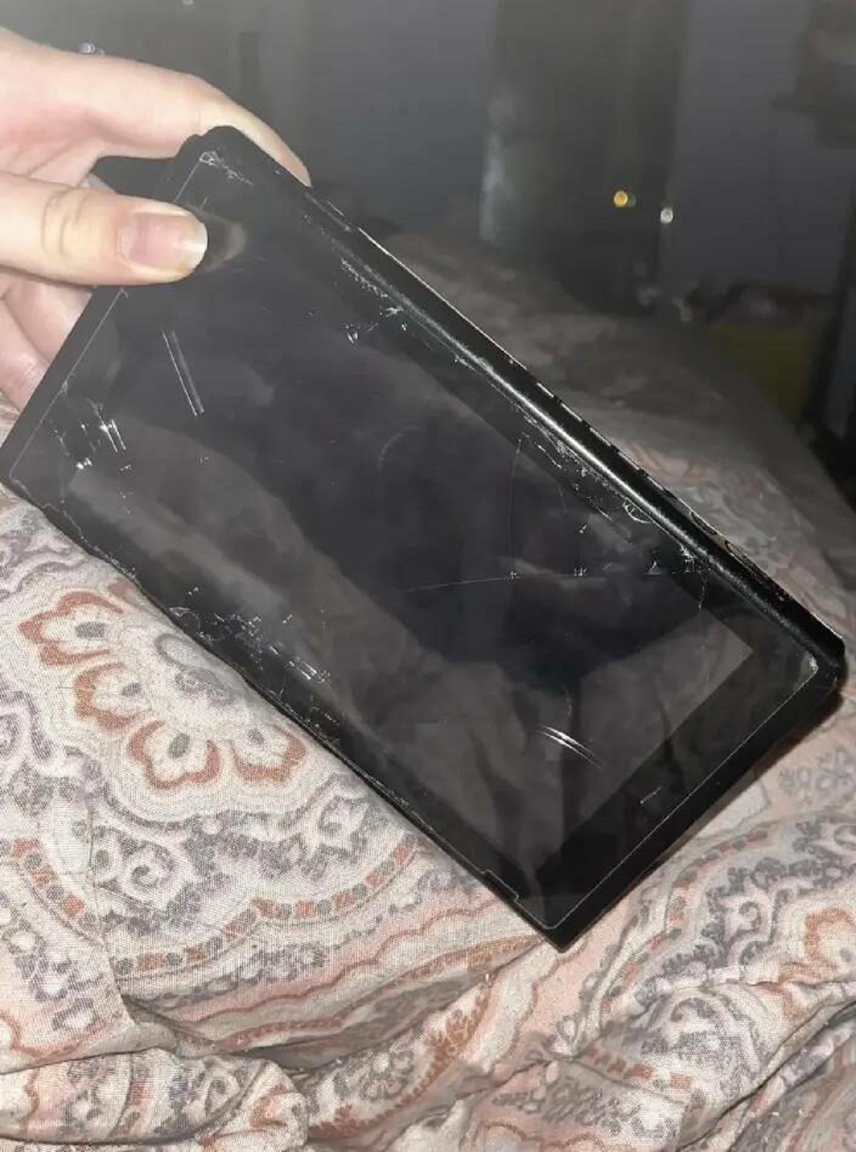 "My boyfriend put my Nintendo Switch through the washing machine":