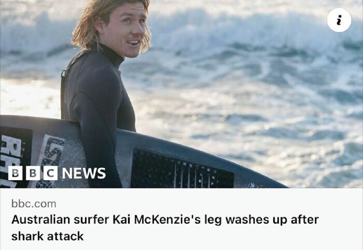 Sharks - Bbc News bbc.com Australian surfer Kai McKenzie's leg washes up after shark attack 22