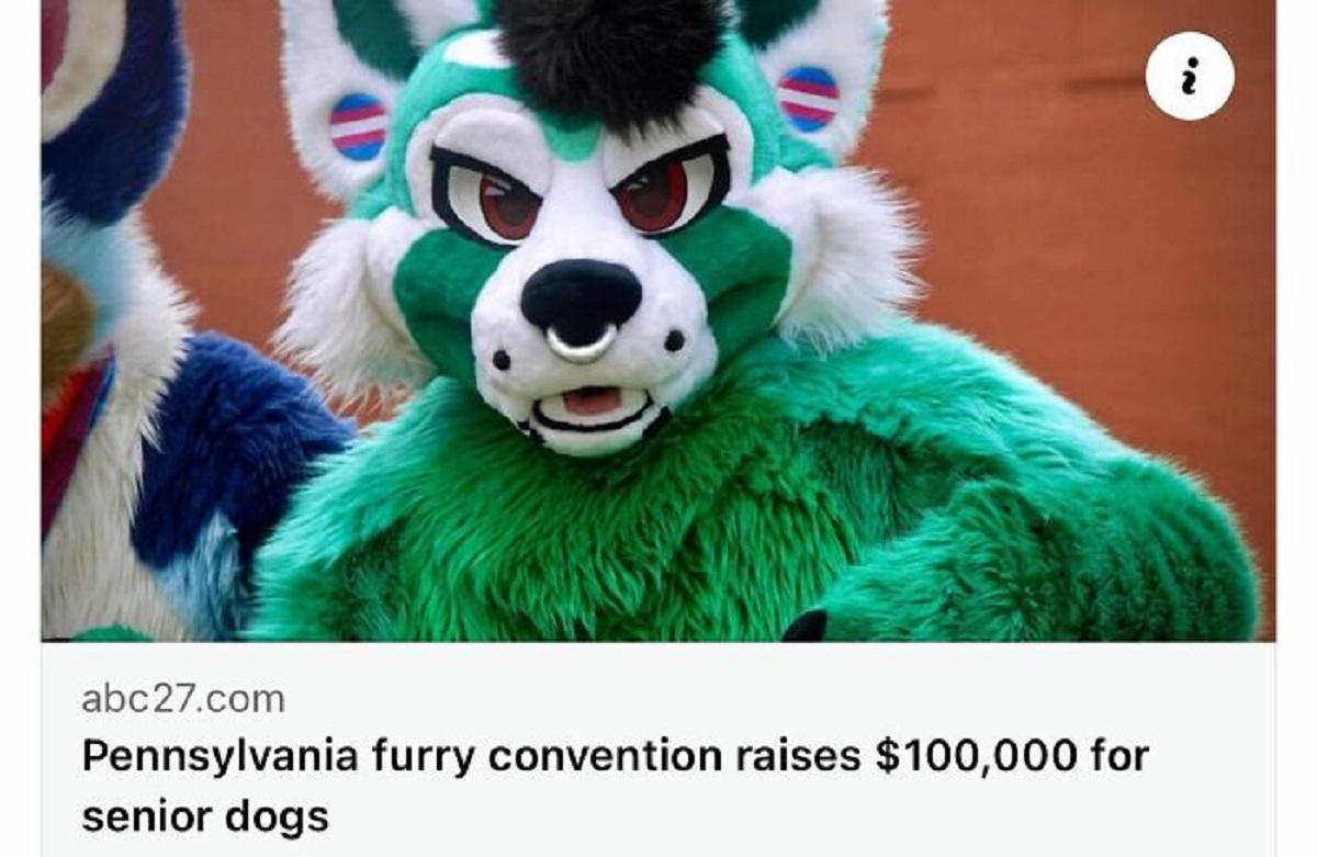 mask - abc27.com Pennsylvania furry convention raises $100,000 for senior dogs i