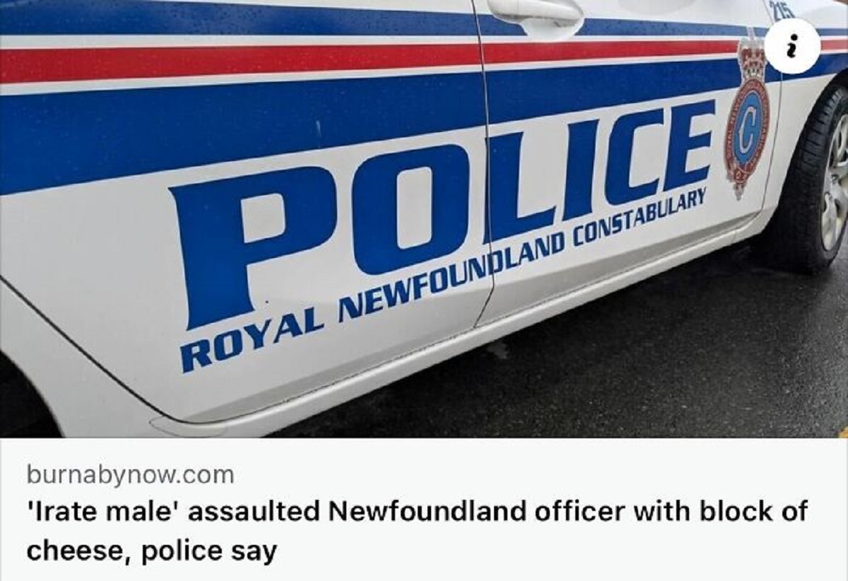 police car - Police Royal Newfoundland Constabulary burnabynow.com 'Irate male' assaulted Newfoundland officer with block of cheese, police say