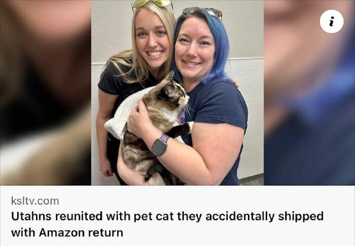 cat amazon returns box - ksltv.com Utahns reunited with pet cat they accidentally shipped with Amazon return