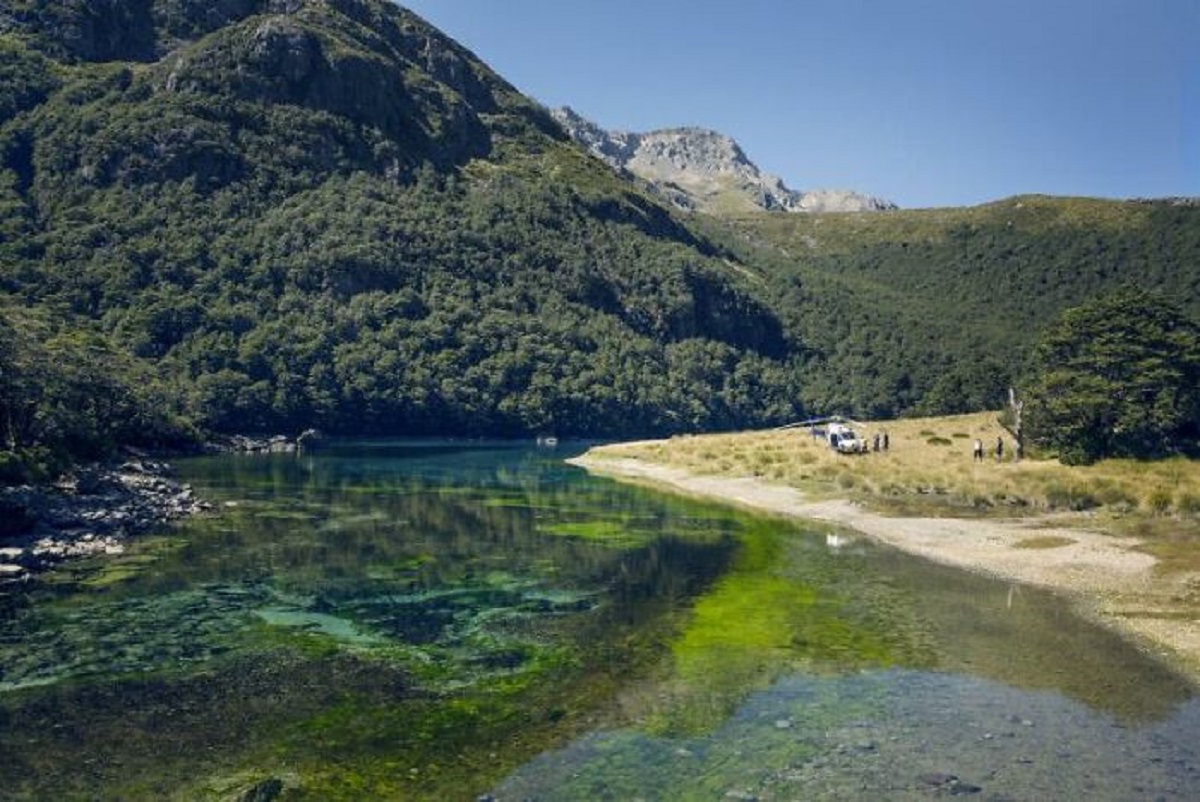 the clearest lake in the world is the Blue Lake located in Nelson, New Zealand. Visibility in the lake is up to 80 metres meaning the water is considered almost as optically clear as distilled water.