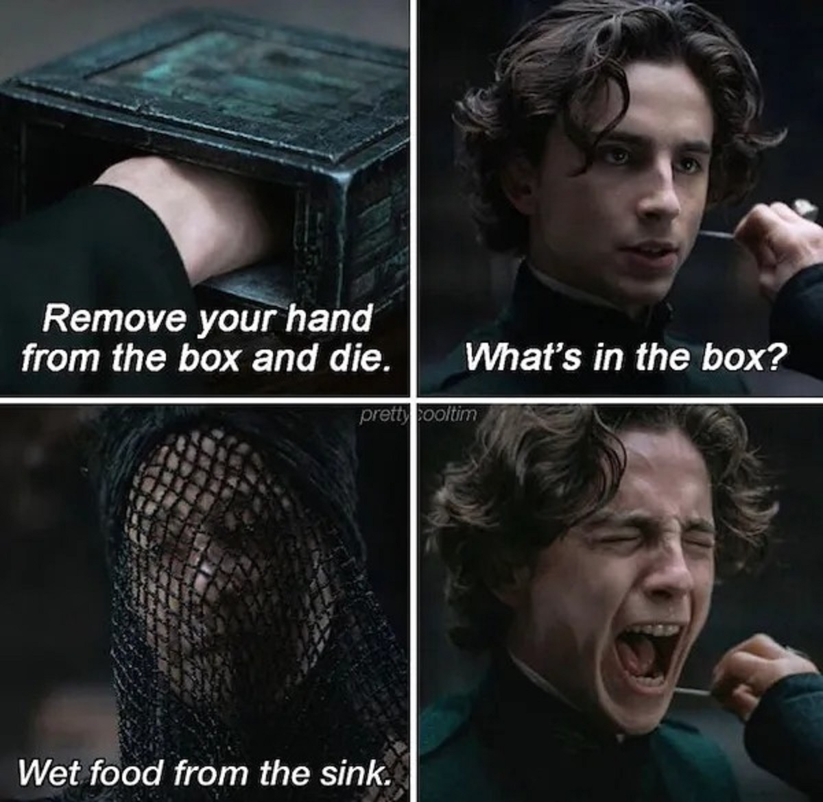 box dune meme - Remove your hand from the box and die. pretty cooltim Wet food from the sink. What's in the box?