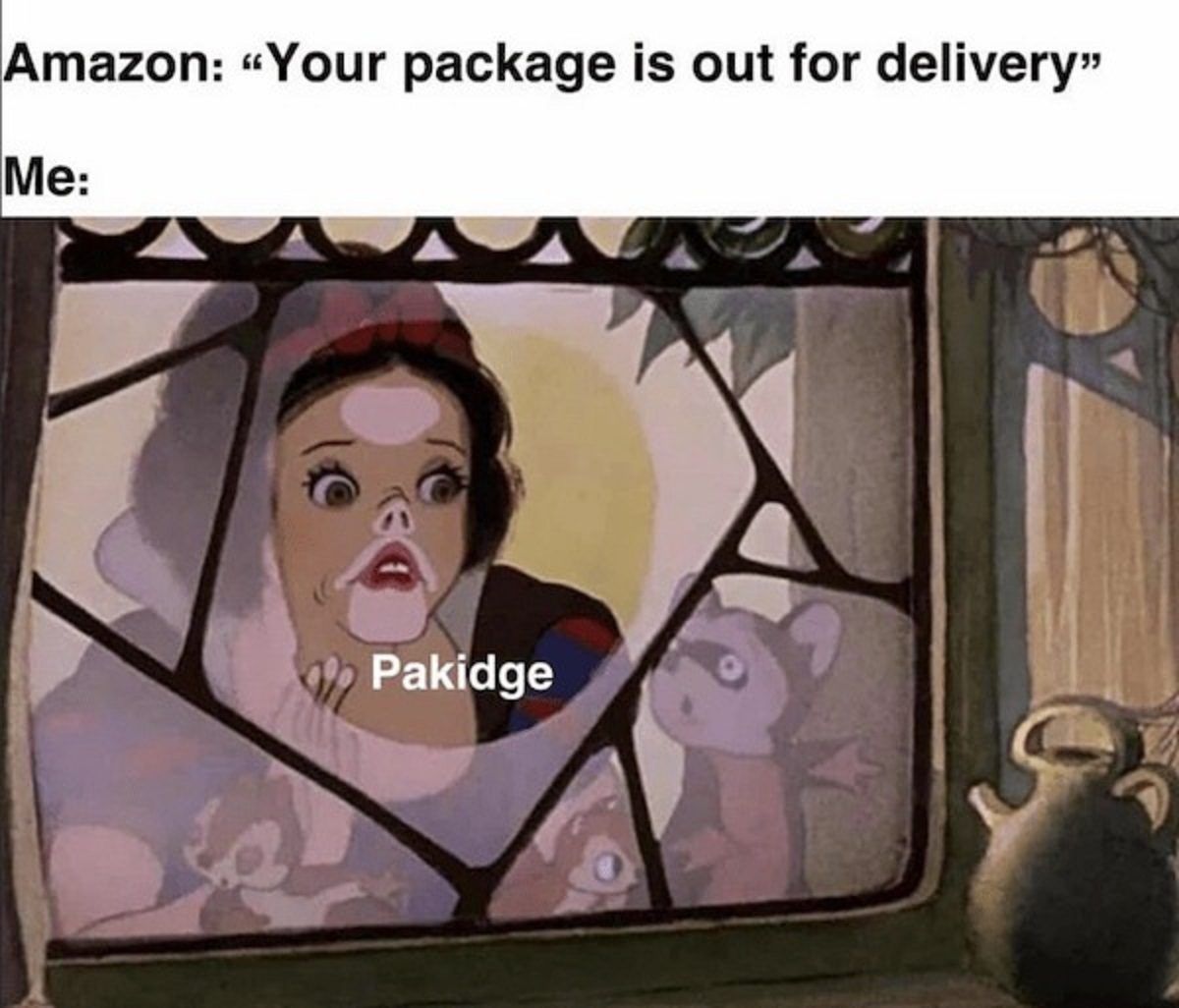 snow white pakidge meme - Amazon "Your package is out for delivery" Me Pakidge