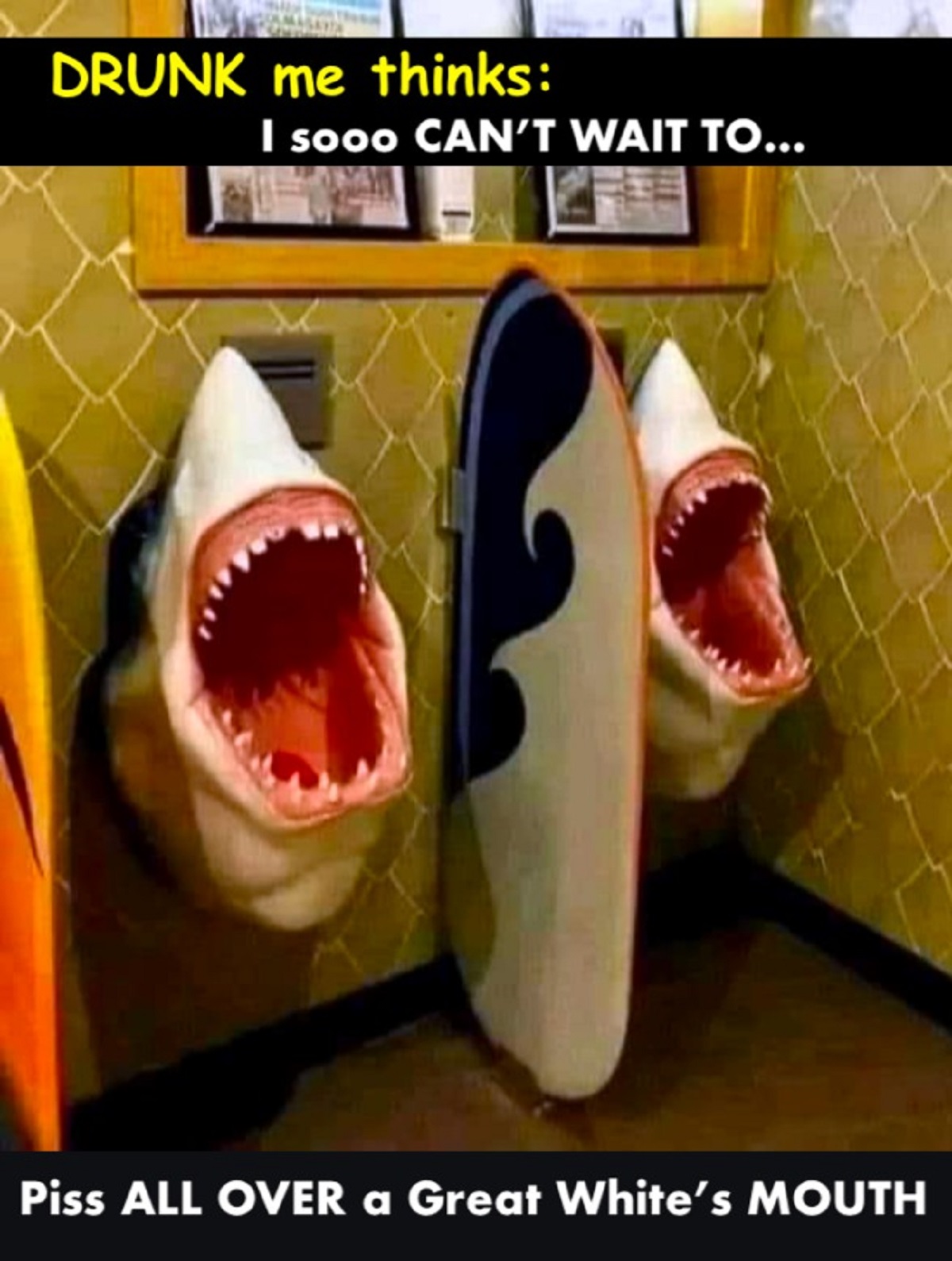 shark urinal - Drunk me thinks I sooo Can'T Wait To... Piss All Over a Great White's Mouth