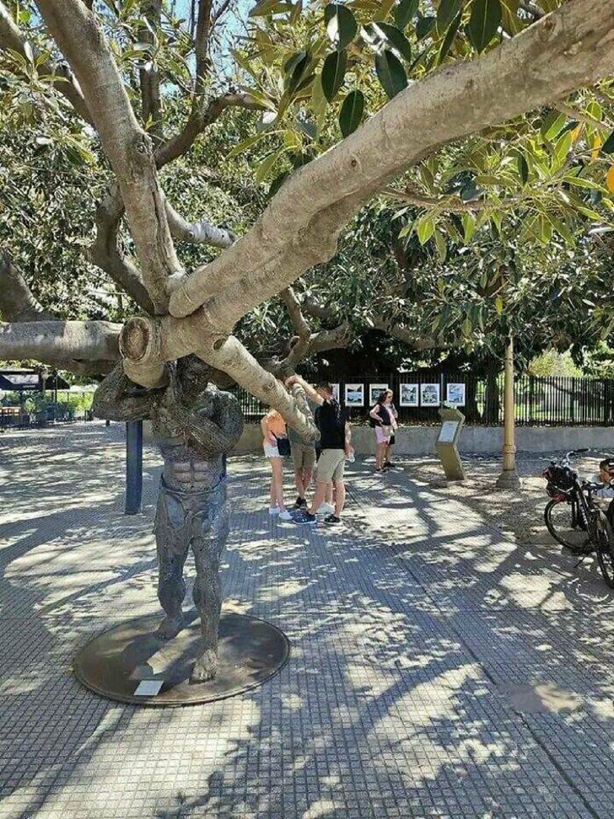 "This Tree In Buenos Aires Is So Big That An Artist Made A Statue To Support One Of The Huge Branches"