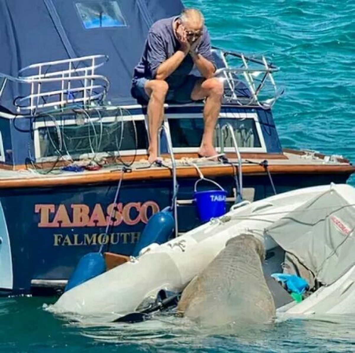 "Wally The Walrus Was Given A 'Floating Couch' In Order To Stop Him From Sinking Boats!"