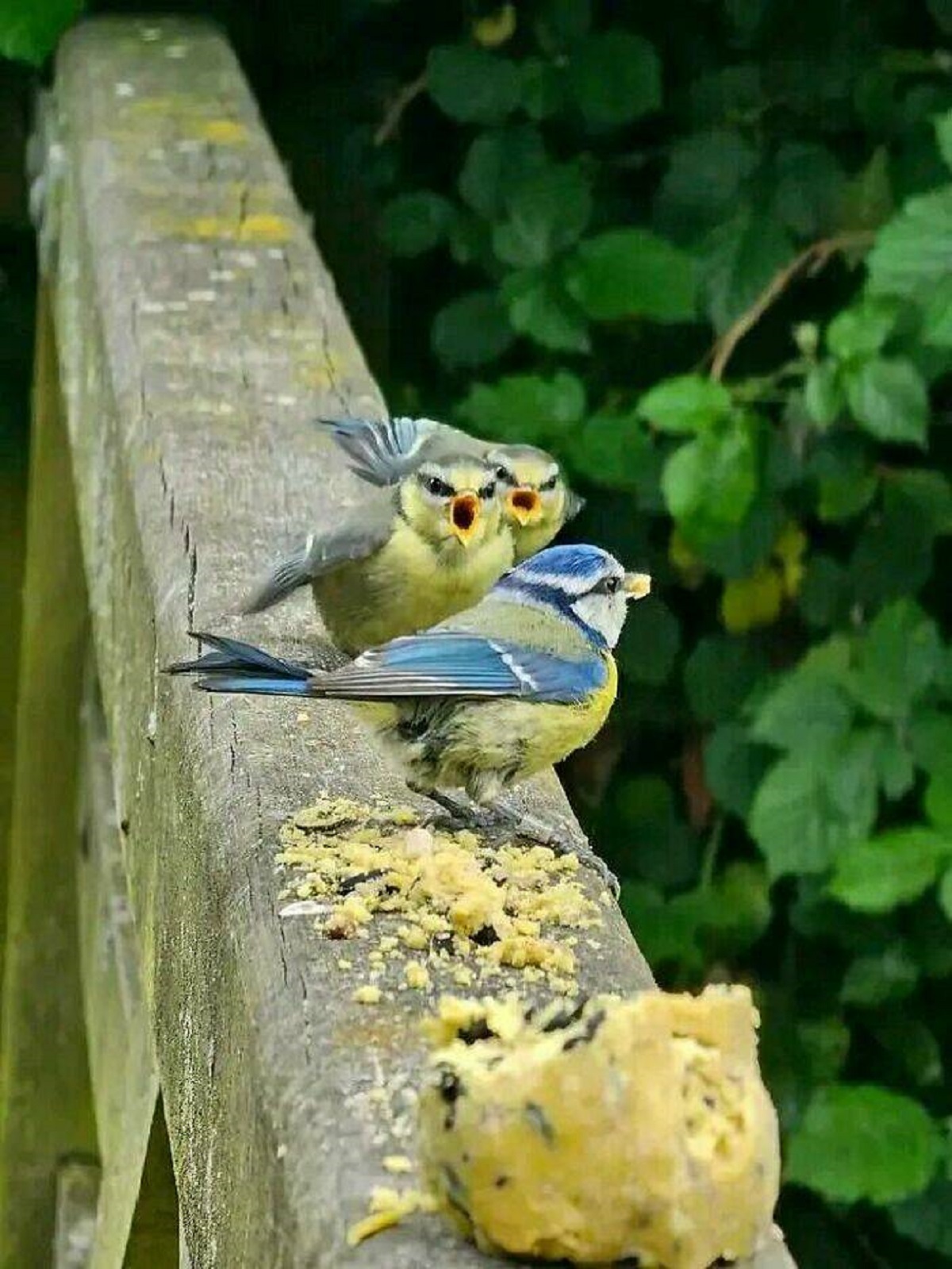 "We Agreed To Keep The Cake For Mum’s Birthday"