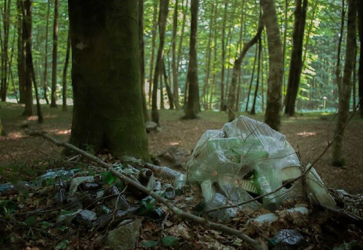 State Parks, but more tainted than ruined. My husband and I hiked at two separate state parks this weekend and I was appalled. We saw dog poop, dirty diapers, water bottles, and food wrappers on almost every trail we walked. Also, for the love of God, NOBODY wants to listen to your music. Use headphones, you heathen.