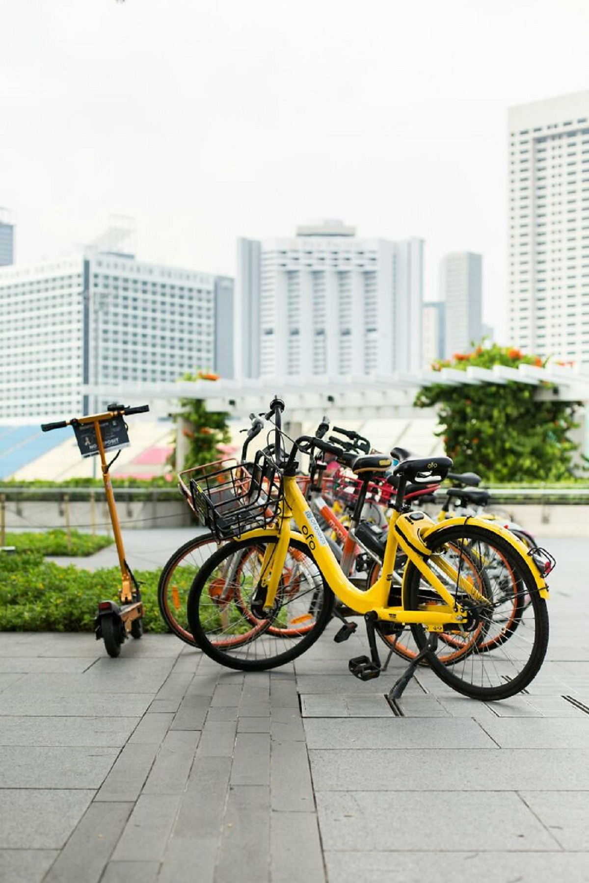 In my city there was this bike sharing project. Amazing for students and young people. Within 3 days (3!!!) all of the bikes (F*****G ALL OF THEM) got either stolen or badly damaged.