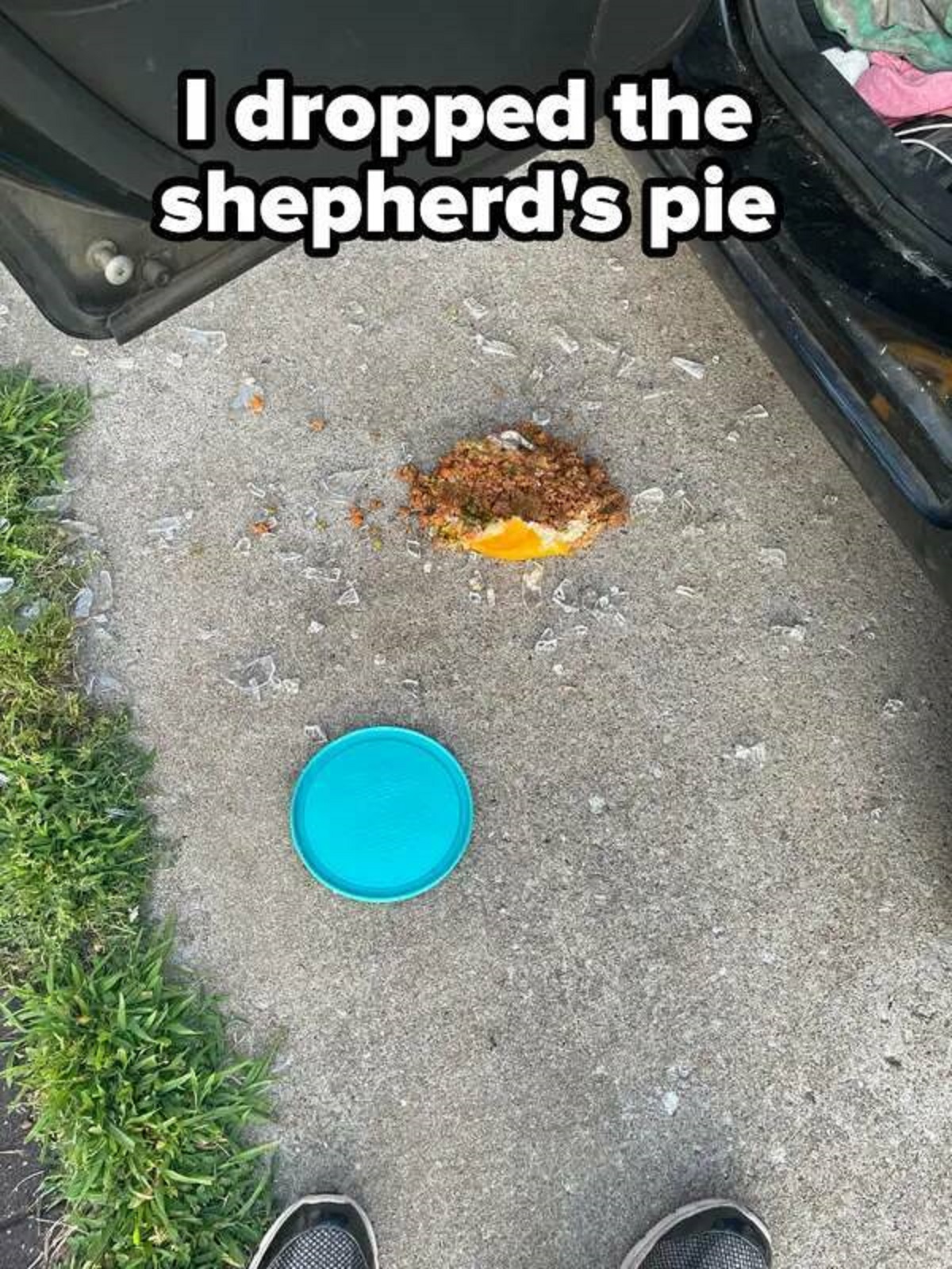 grass - I dropped the shepherd's pie