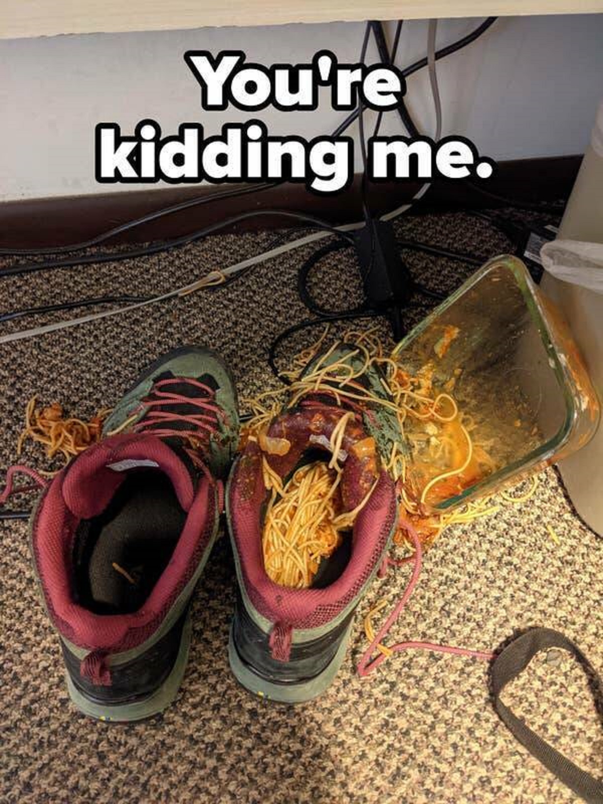 spilled spaghetti - You're kidding me.