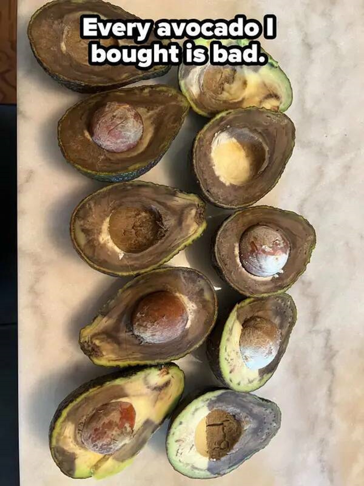 tiostrea chilensis - Every avocadol bought is bad.