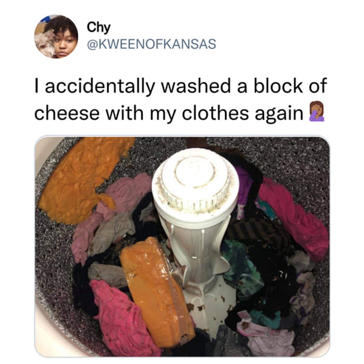 block of cheese in washing machine - Chy I accidentally washed a block of cheese with my clothes again