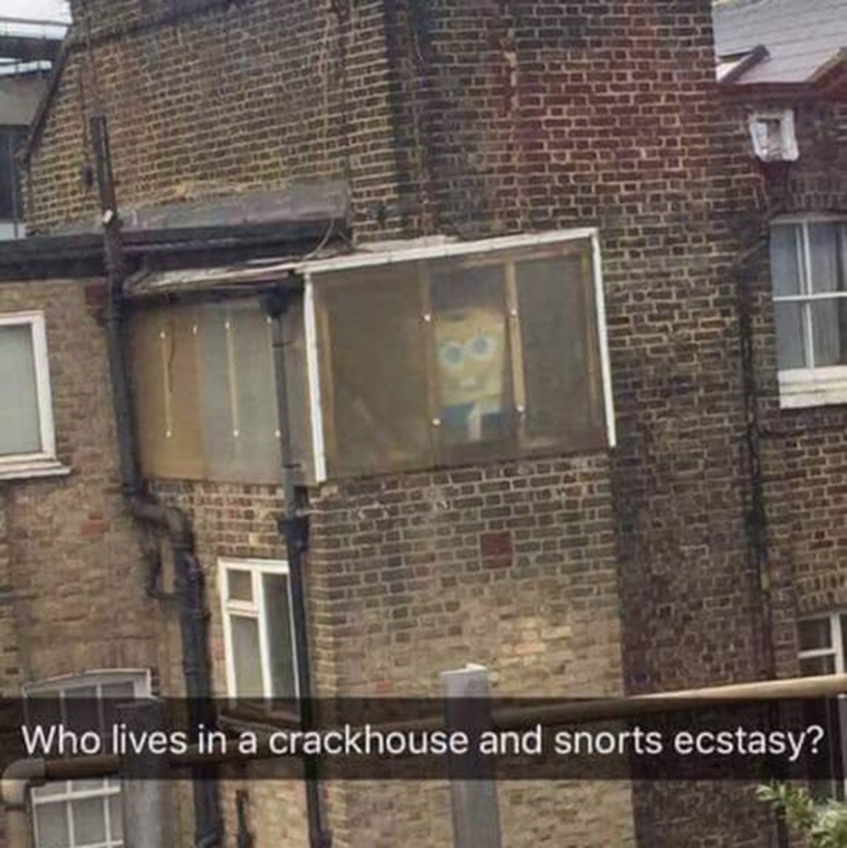 spongebob crack house - Who lives in a crackhouse and snorts ecstasy?