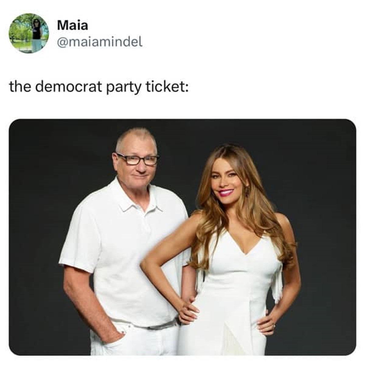 Modern Family - Maia the democrat party ticket