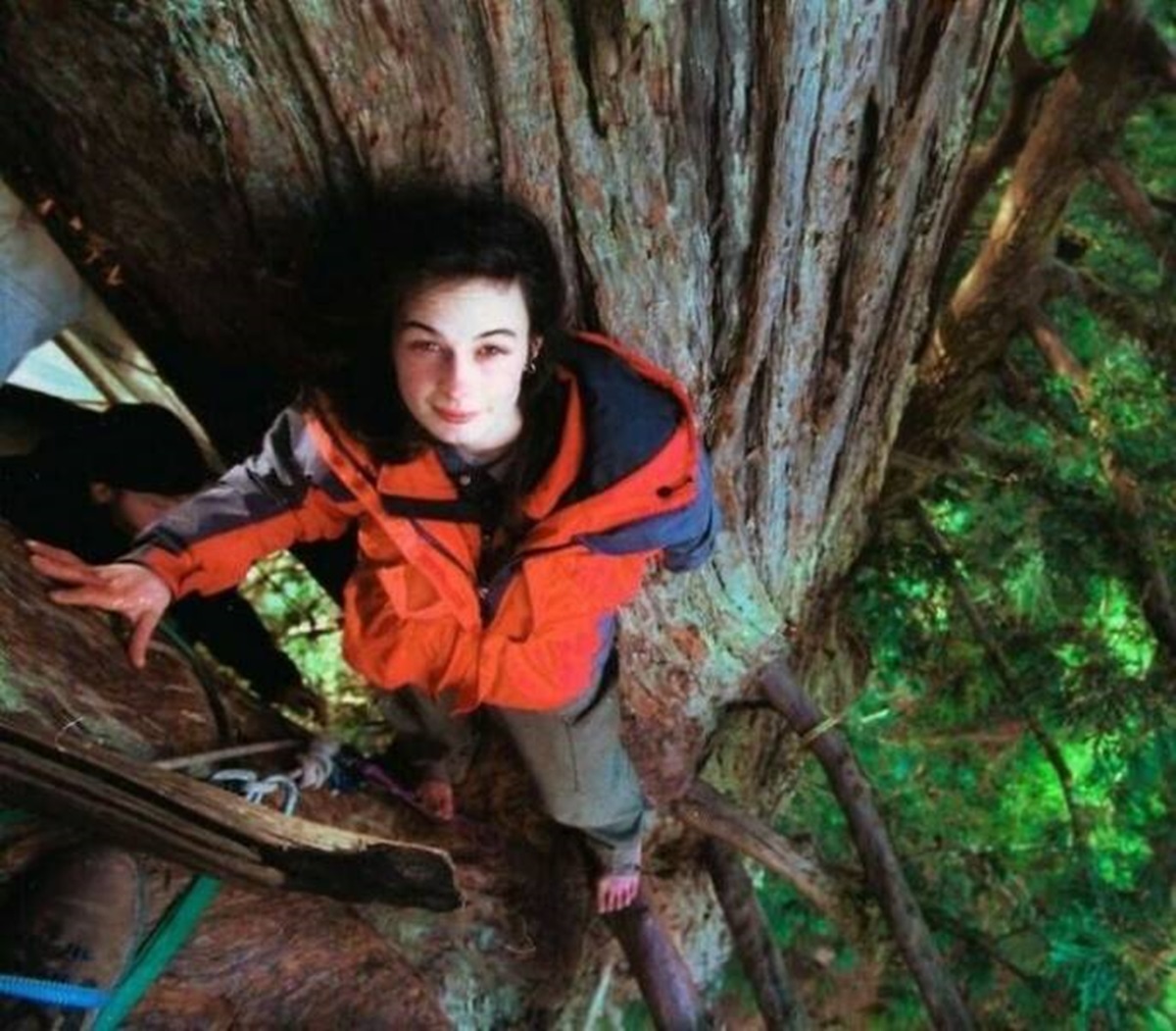 "In December 1997, Julia "Butterfly" Hill Climbed A 1,000-Year-Old California Redwood Tree As Part Of Efforts To Keep It From Being Knocked Down By Loggers"

"Initially, she only intended to stay there for a couple of weeks. But instead, Hill didn't touch the ground for 738 days, far surpassing the previous record for the longest tree sit of 90 days. During her protest, she lived on platforms 180 feet above the ground, surviving off of food and water brought up by other environmental activists and enduring the freezing rain and winds of a particularly brutal El Niño season. Hill also faced near-constant harassment and threats from employees of Pacific Lumber Co., the logging company trying to cut the tree down. But despite the many setbacks she faced, her protest was ultimately successful and she was able to save the tree.⁠"