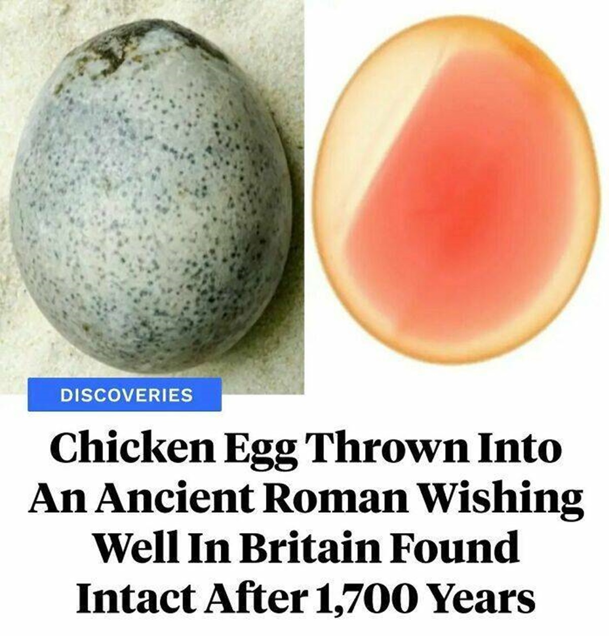 "Approximately 1,700 Years Ago, An Ancient Roman Tossed A Chicken Egg Into A Wishing Well In What's Now The Town Of Aylesbury, England"

"Symbols of fertility associated with the gods Mithras and Mercury, eggs were often offered up as sacrifices in this manner during the Roman era. But unlike the others, the "Aylesbury egg" has somehow remained completely intact after nearly two millennia. Researchers have just used CT scans to discover that its yolk, albumen, and air sac have been preserved, making it the only specimen of its kind in the world."