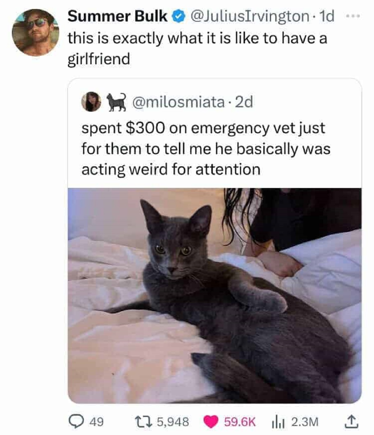 funny comments and savage replies - domestic short-haired cat - Summer Bulk 1d this is exactly what it is to have a girlfriend . 2d spent $300 on emergency vet just for them to tell me he basically was acting weird for attention 49 15,948 2.3M