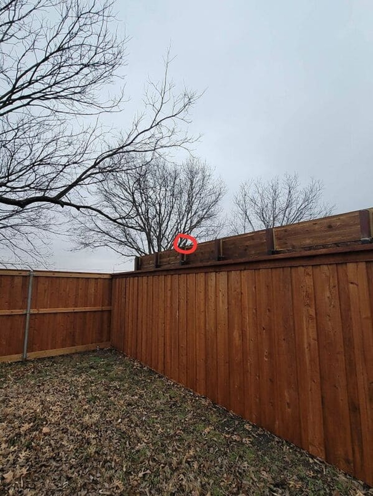 “Built A 7 Foot Privacy Fence. Neighbor Raised His By 2 Feet And Put A Camera Facing Into My Backyard”