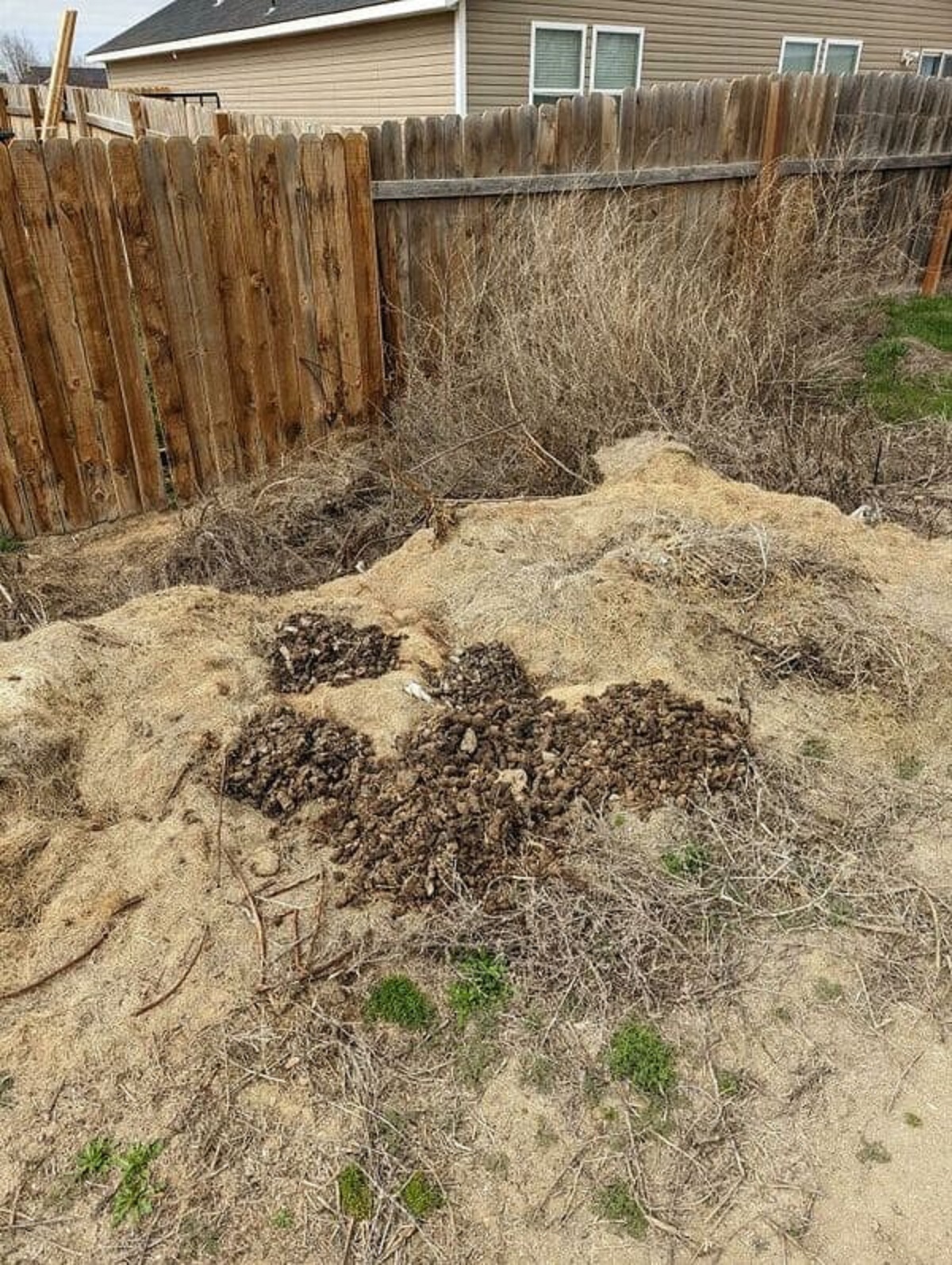 “My Neighbor Chucks Her Dog’s Waste Over The Back Fence”