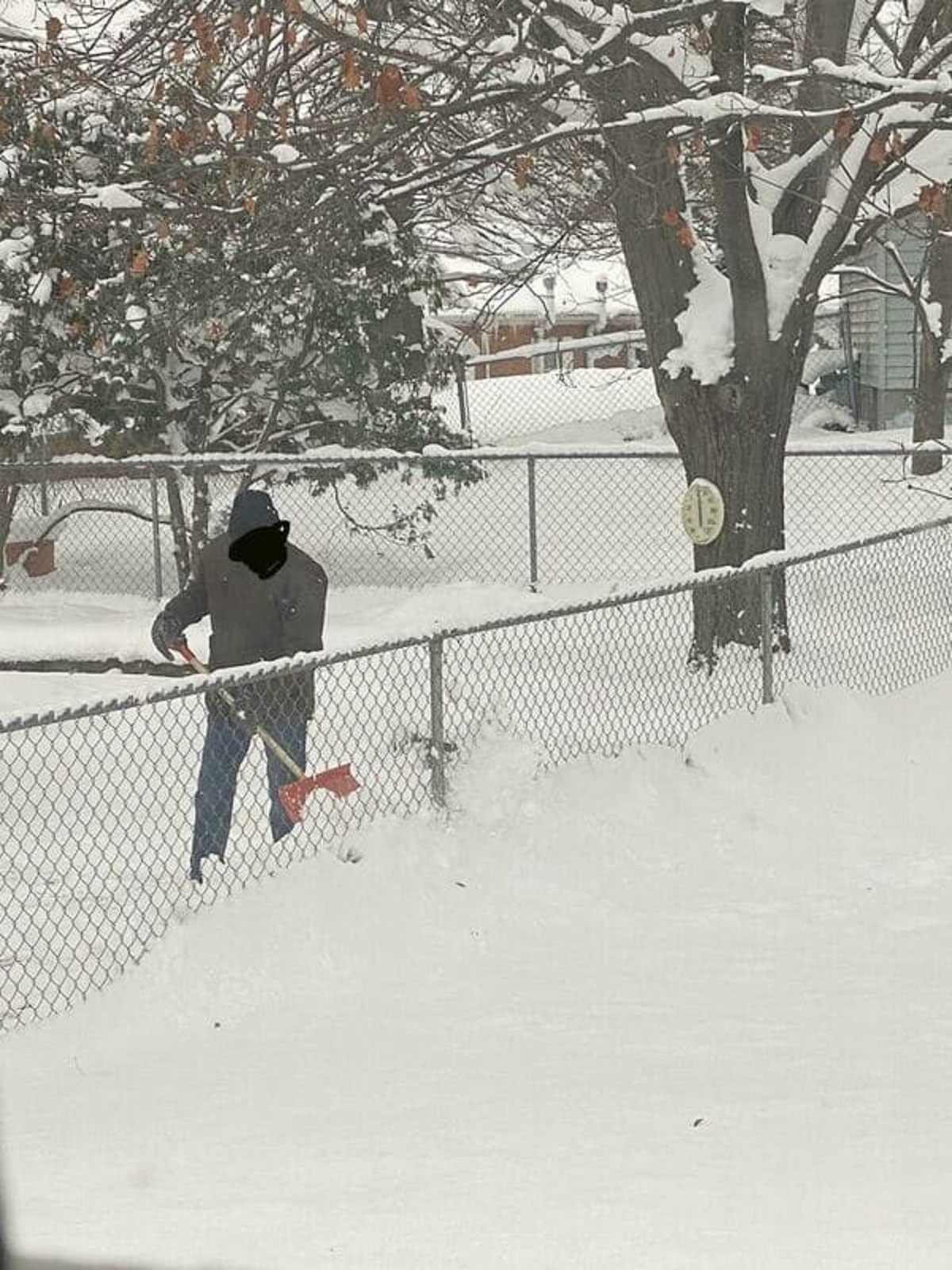 “My Neighbor Shoveling His Backyard Into Mine”