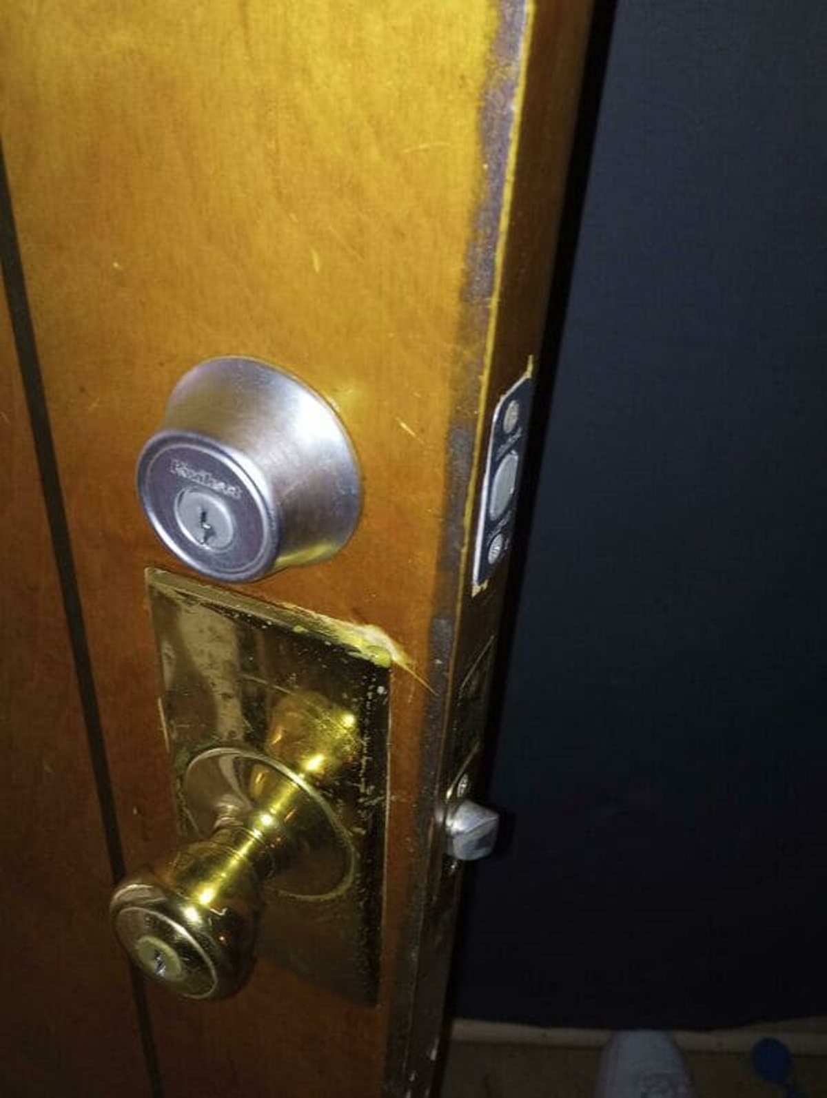 “Neighbor Tried To Saw My Door Handle Off Today Because She Hadn’t Seen My Cat In The Window For 3 Days”