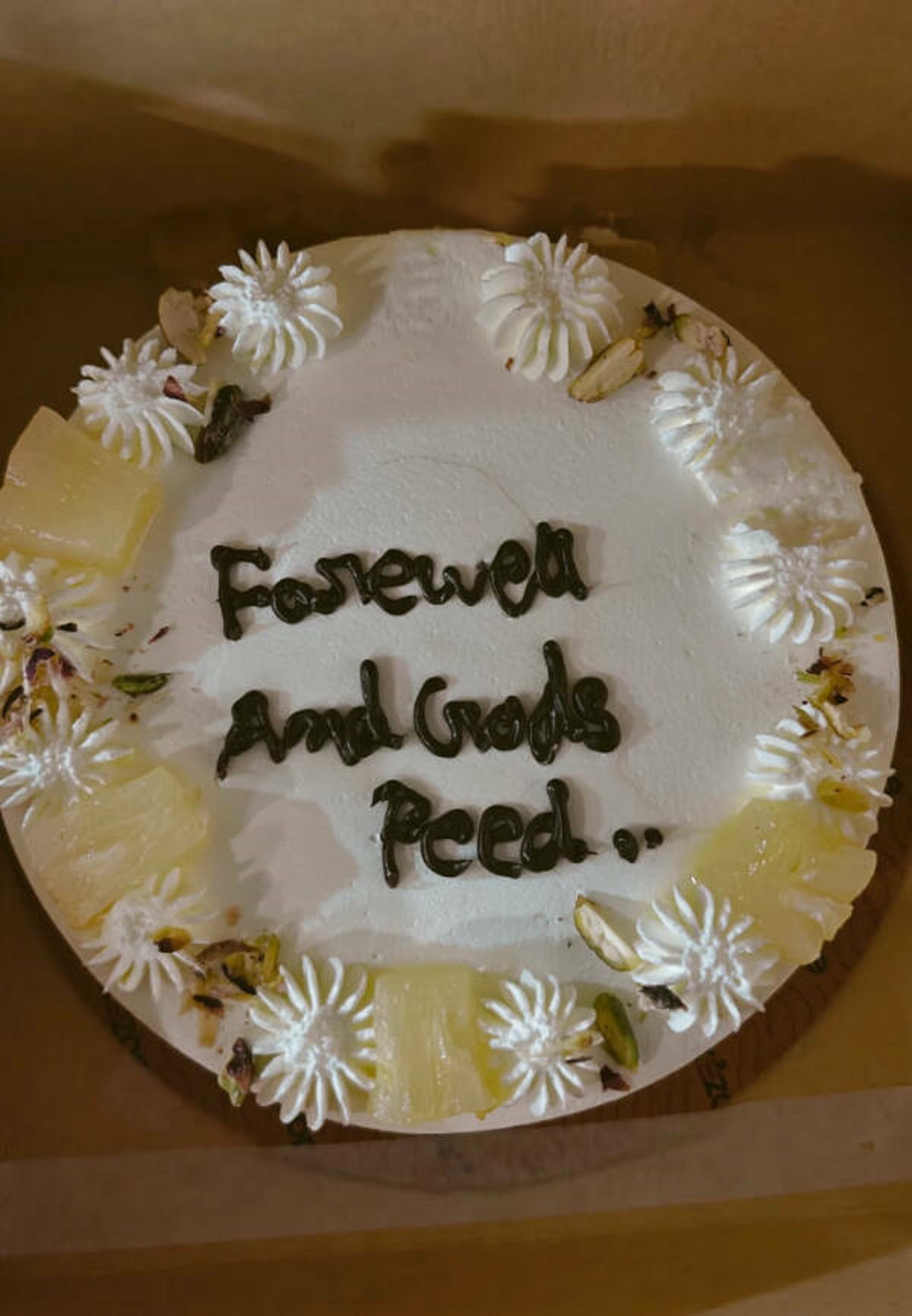 people having a very bad day -  birthday cake - Forewell And Gods Peed 20