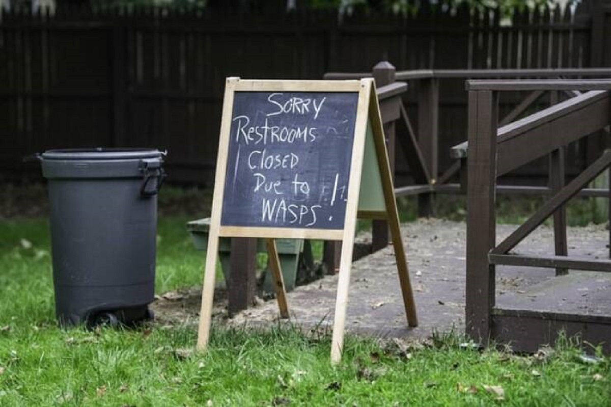 people having a very bad day -  grass - Sorry Restrooms CloseD Due to Wasps