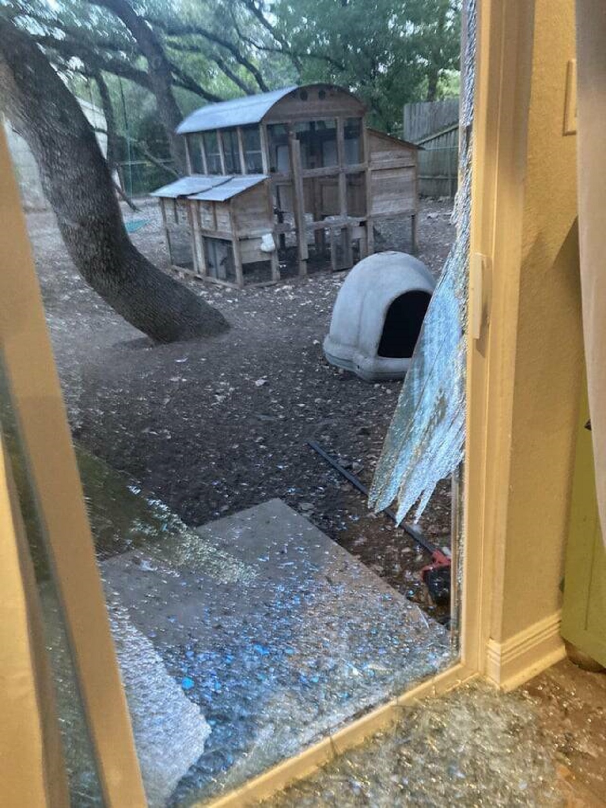 people having a very bad day -  backyard