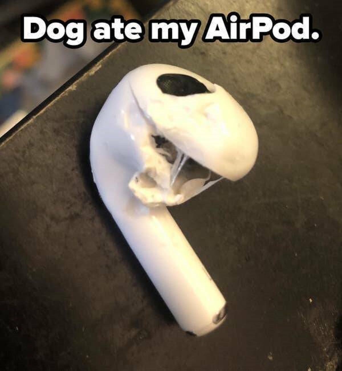 people having a very bad day -  ice cream - Dog ate my AirPod.