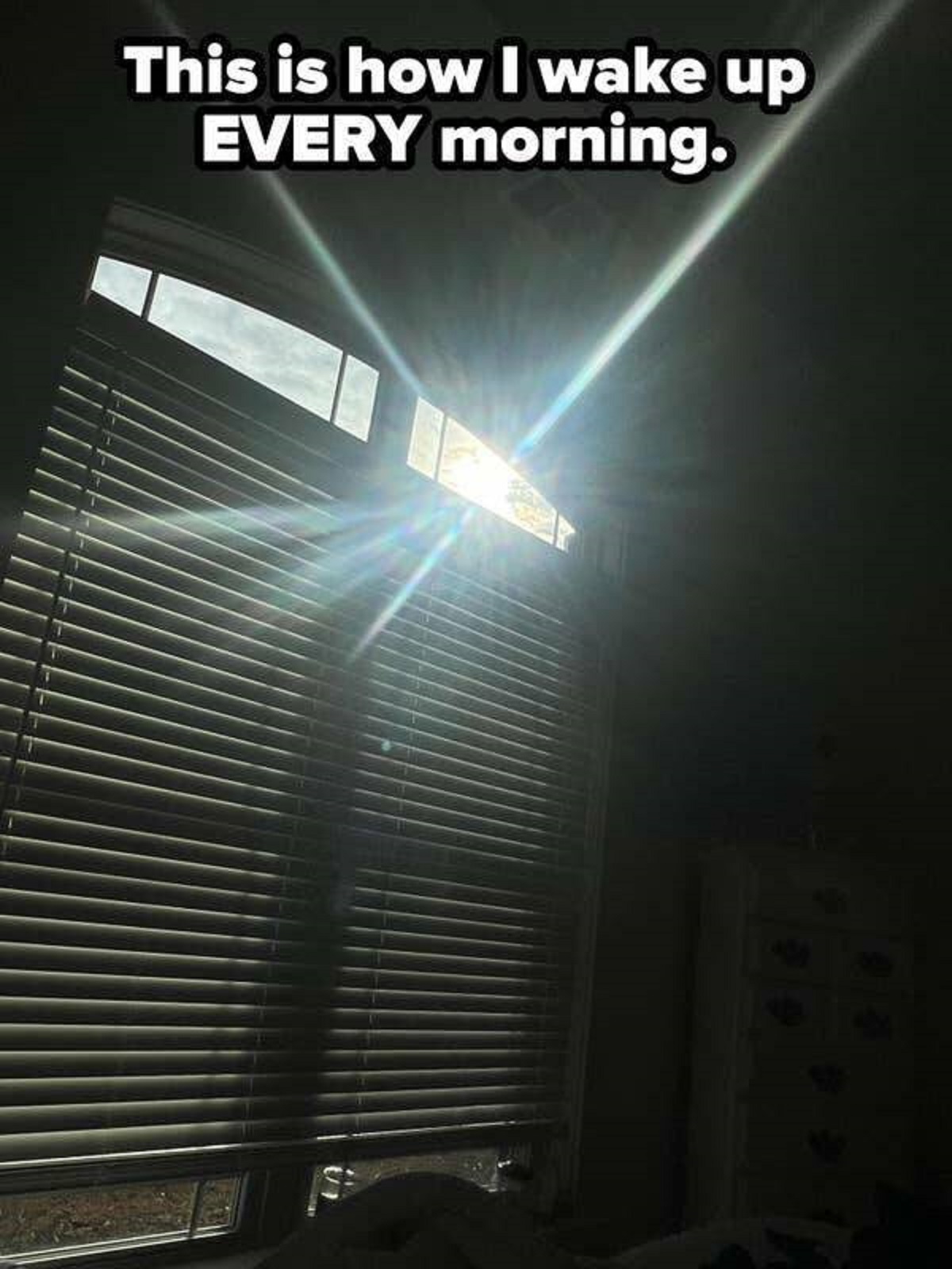 people having a very bad day -  light - This is how I wake up Every morning.