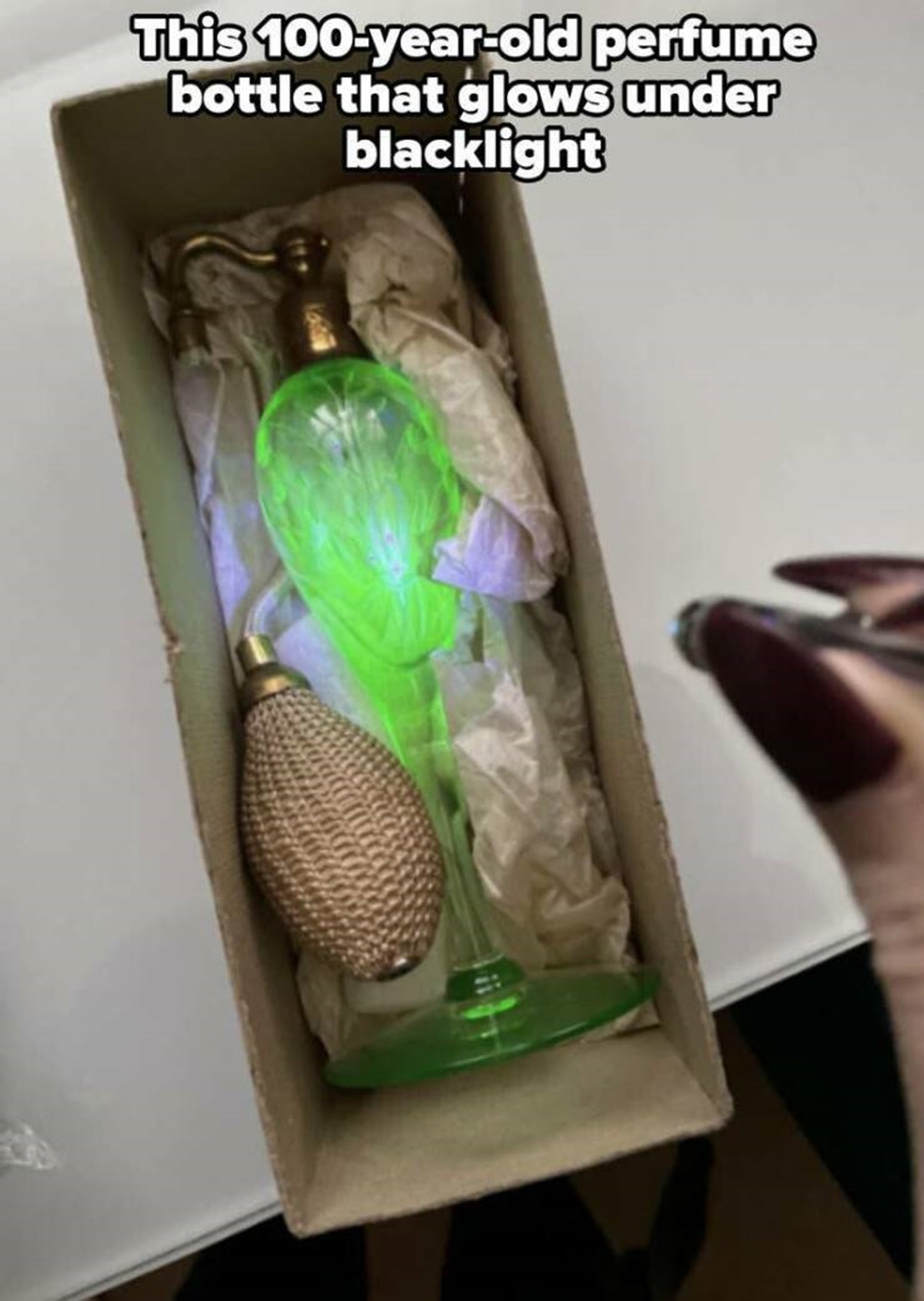 budgie - This 100yearold perfume bottle that glows under blacklight