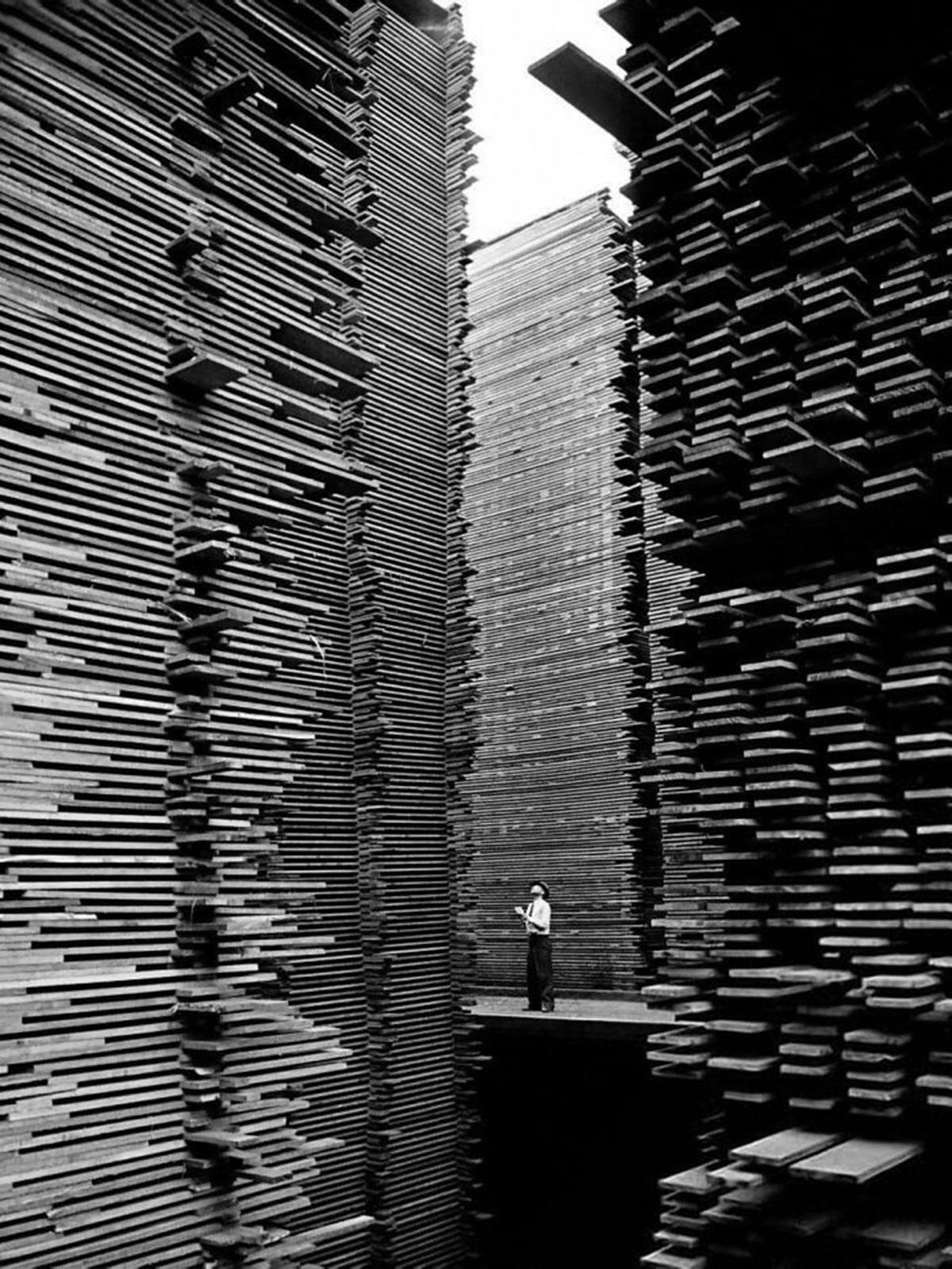 A Man Standing In The Lumberyard Of Seattle Cedar Lumber Manufacturing, 1939. (Photo By Alfred Eisenstaedt)