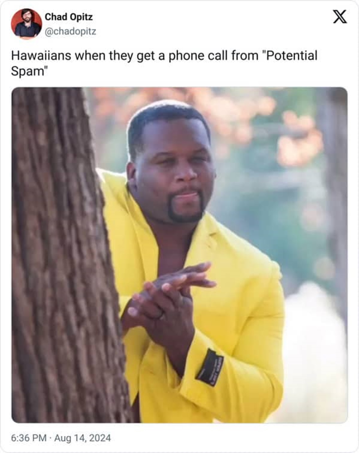 mail man meme - Chad Opitz Hawaiians when they get a phone call from "Potential Spam" X