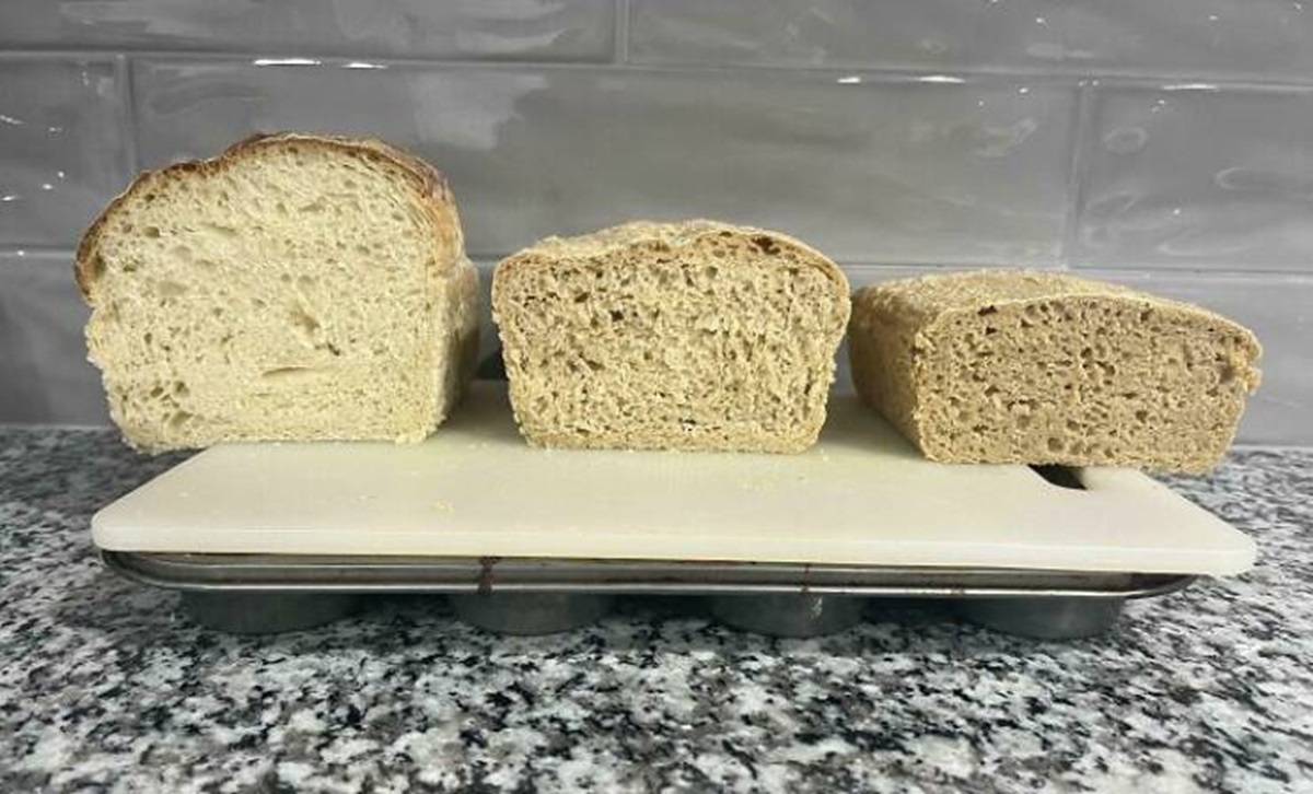 whole wheat bread