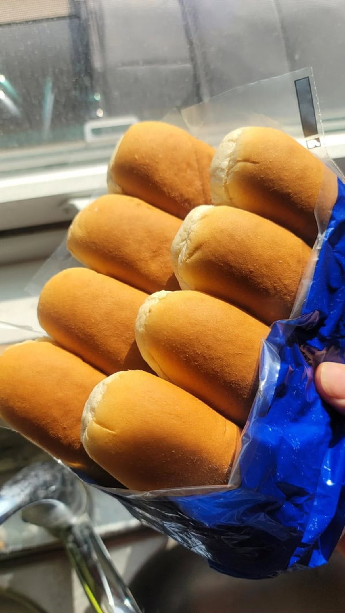 “Found some buns that expired 6 months ago. They look like day 1.”