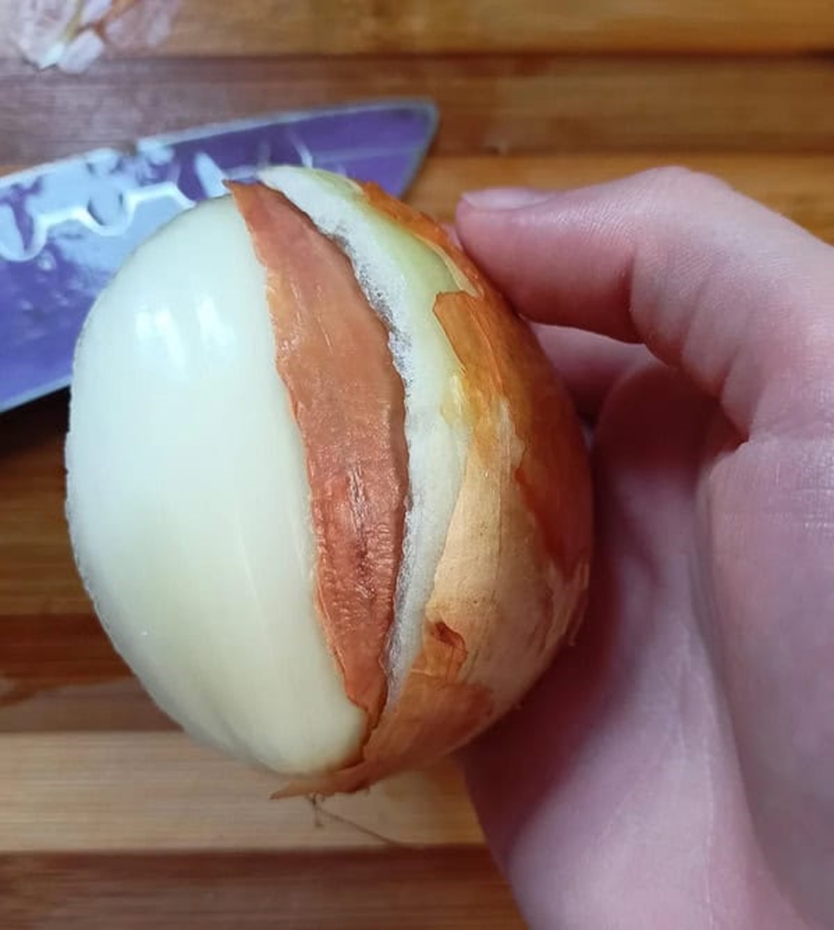 “My onion had a dry layer under a normal layer”