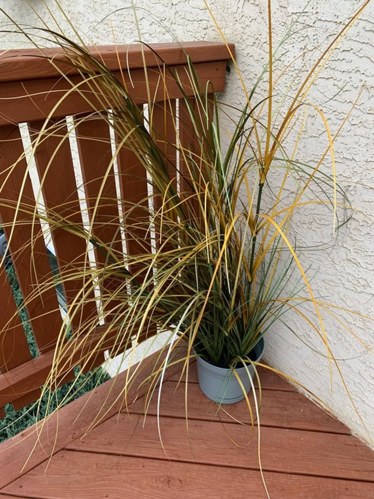 “My fake plant turned yellow and died when left outside.”