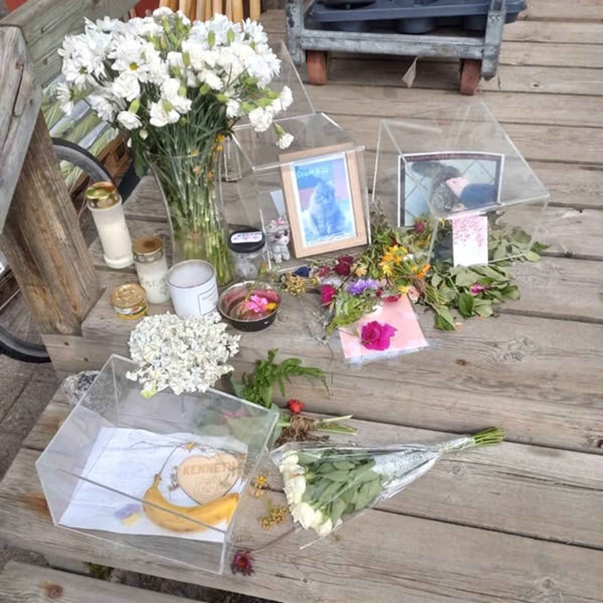 “A cat that has been hanging out outside my local supermarket passed away recently so they made him a memorial”