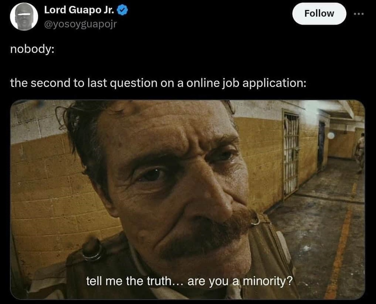 tell me are you a minority - Lord Guapo Jr. nobody the second to last question on a online job application tell me the truth... are you a minority?