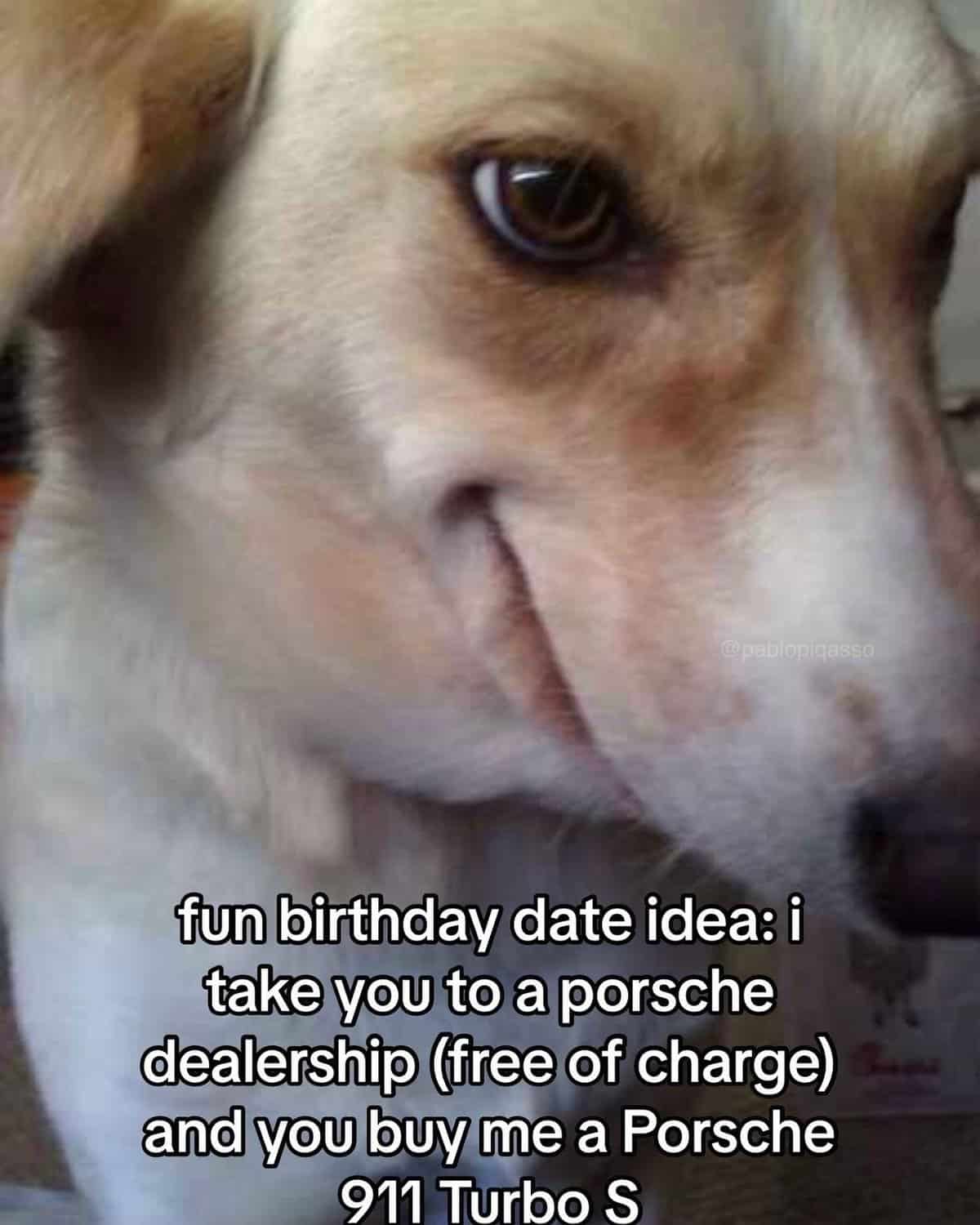 funny memes to make me laugh - fun birthday date idea i take you to a porsche dealership free of charge and you buy me a Porsche 911 Turbo S